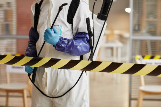 Professional Hoarding Cleanup technician working in Adelanto, CA